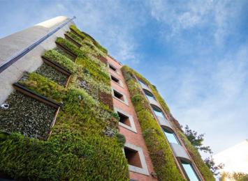 Findeter es reconocida como organización carbono-neutral, consolidando su compromiso con la sostenibilidad