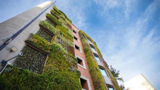 Findeter declaró el incumplimiento, aplicó la cláusula penal y terminó anticipadamente el contrato PAF-FONPAZ-CV-042-2026