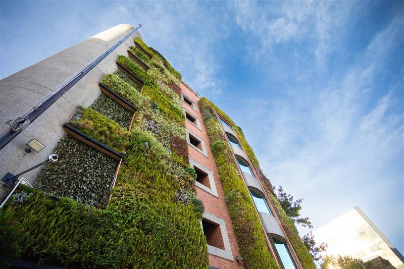 Great Place To Work, certificó que el buen ambiente laboral en Findeter, la convierte en una de las mejores empresas para trabajar en Colombia