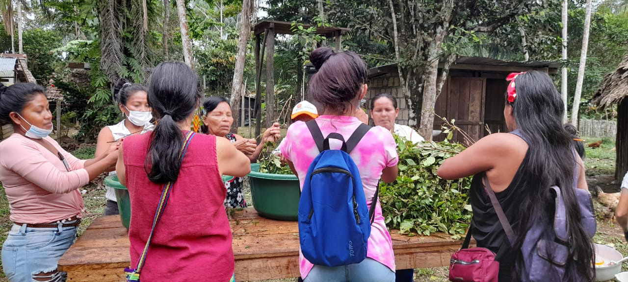 Indígenas Murui crean productos de belleza a partir de aceites esenciales