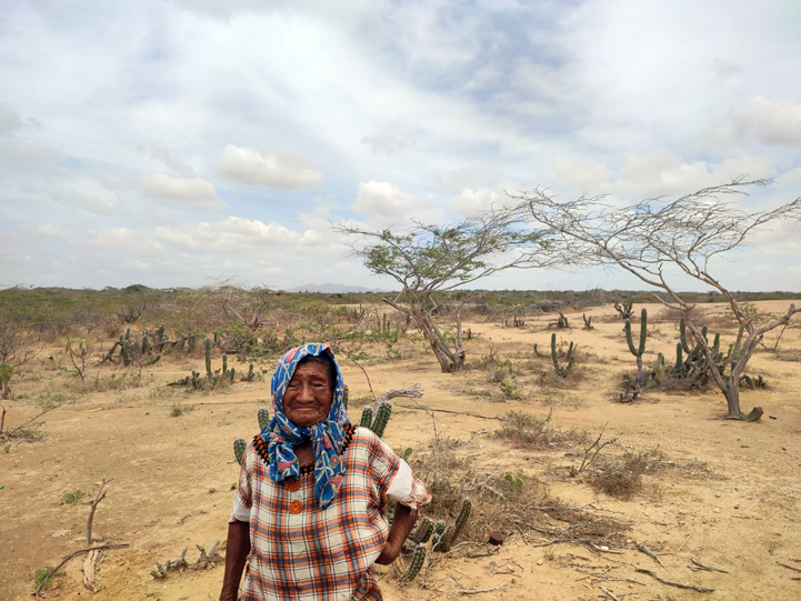 Pueblos indígenas en La Guajira