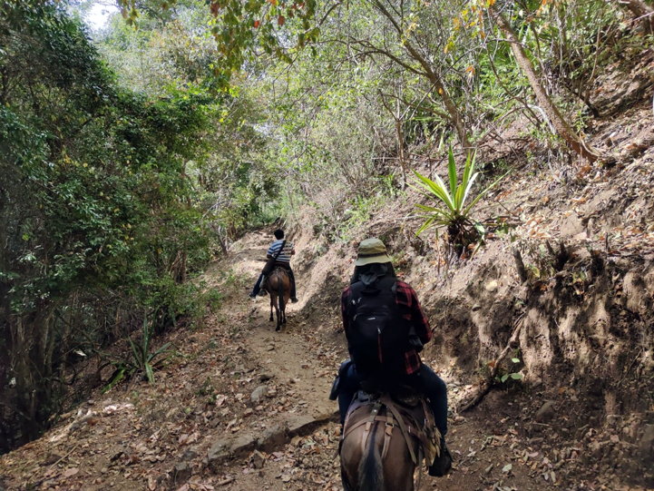 Subir al cerro tarda unas cinco horas en burro