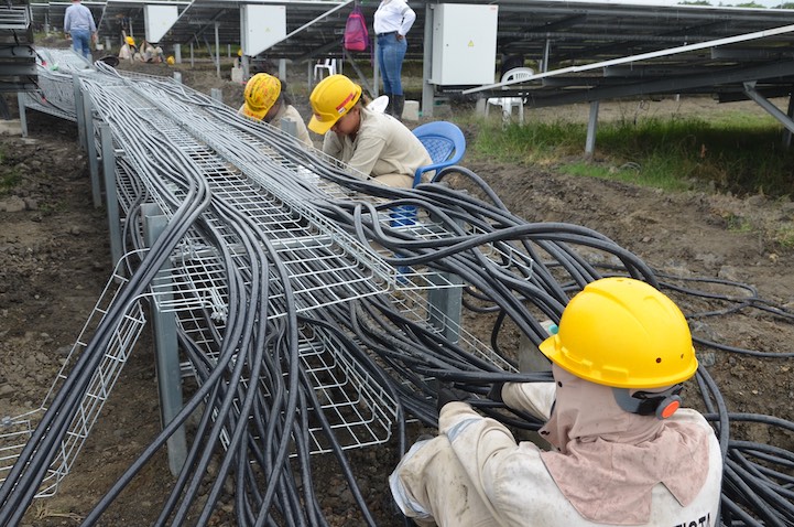 Trabajadores de palmasena energia solar