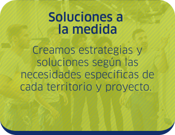 Opción 4
