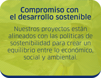 Opción 6